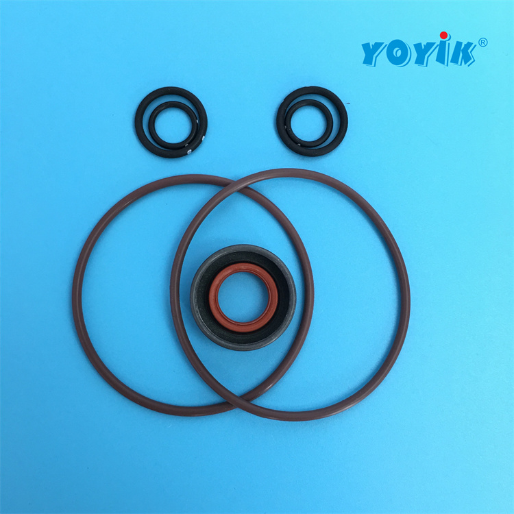 抗燃油循环泵油封919772 2022年新到密封套件适用于循环泵-东方一力插图