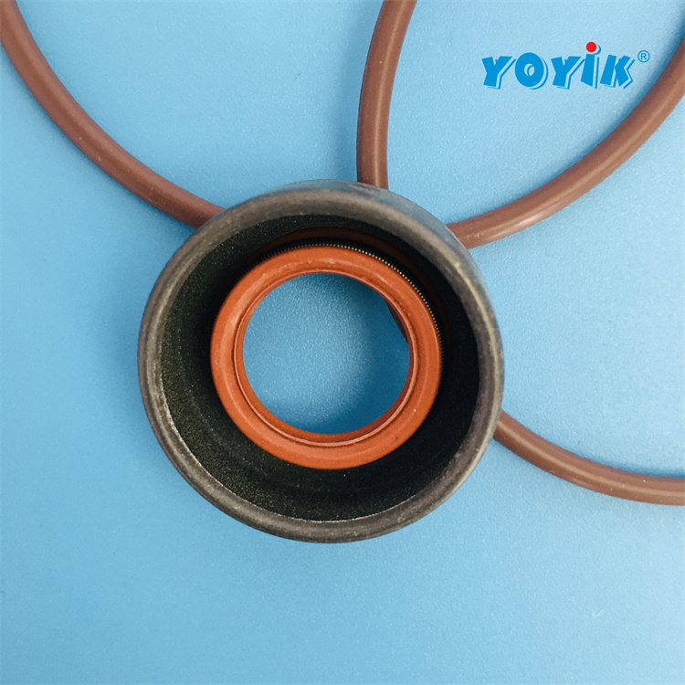 抗燃油循环泵油封919772 2022年新到密封套件适用于循环泵-东方一力插图1