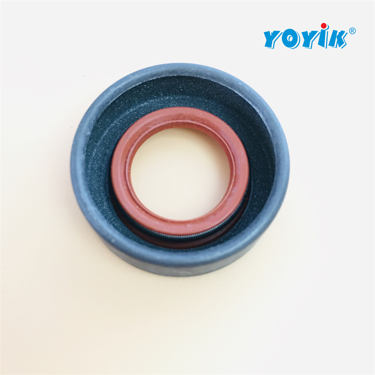 抗燃油循环泵油封919772 2022年新到密封套件适用于循环泵-东方一力插图2