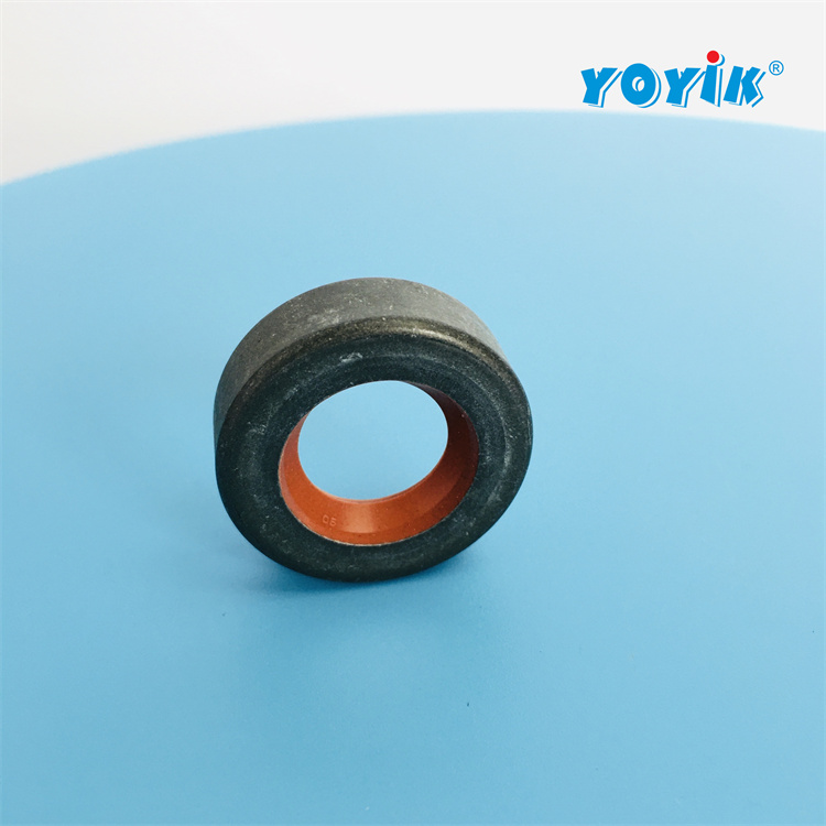 抗燃油循环泵油封919772 2022年新到密封套件适用于循环泵-东方一力插图3