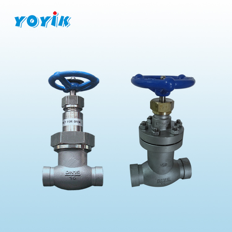 截止阀25FJ-1.6PA2 用于氢系统截止、开启的气体阀门插图
