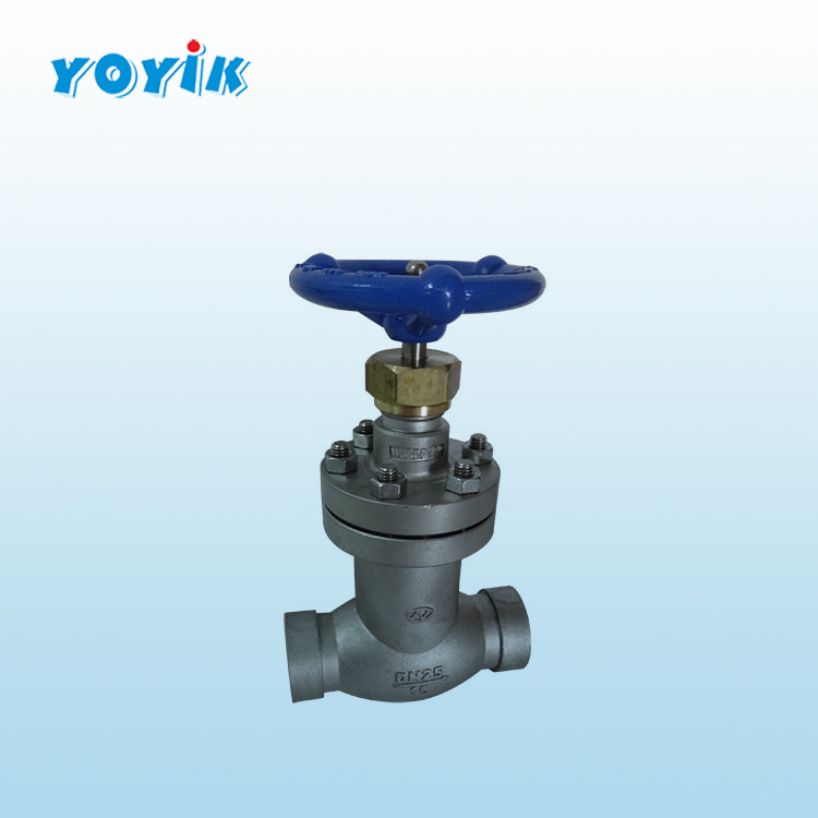 截止阀25FJ-1.6PA2 用于氢系统截止、开启的气体阀门插图1