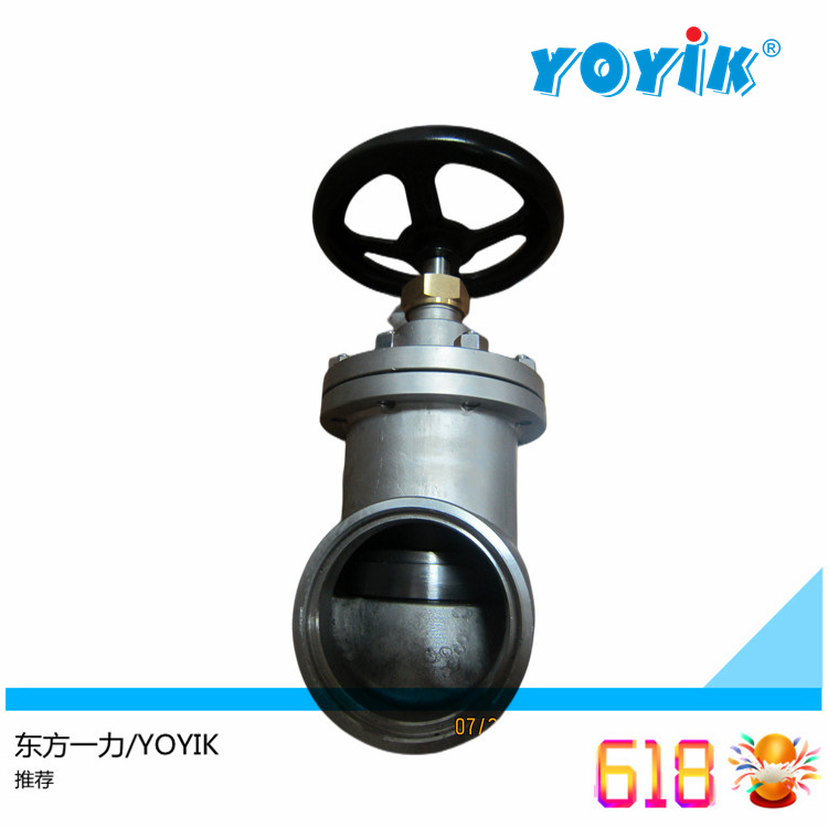 不锈钢截止节流止回阀LJC100-1.6P 用于氢系统管道的开启和关闭插图2