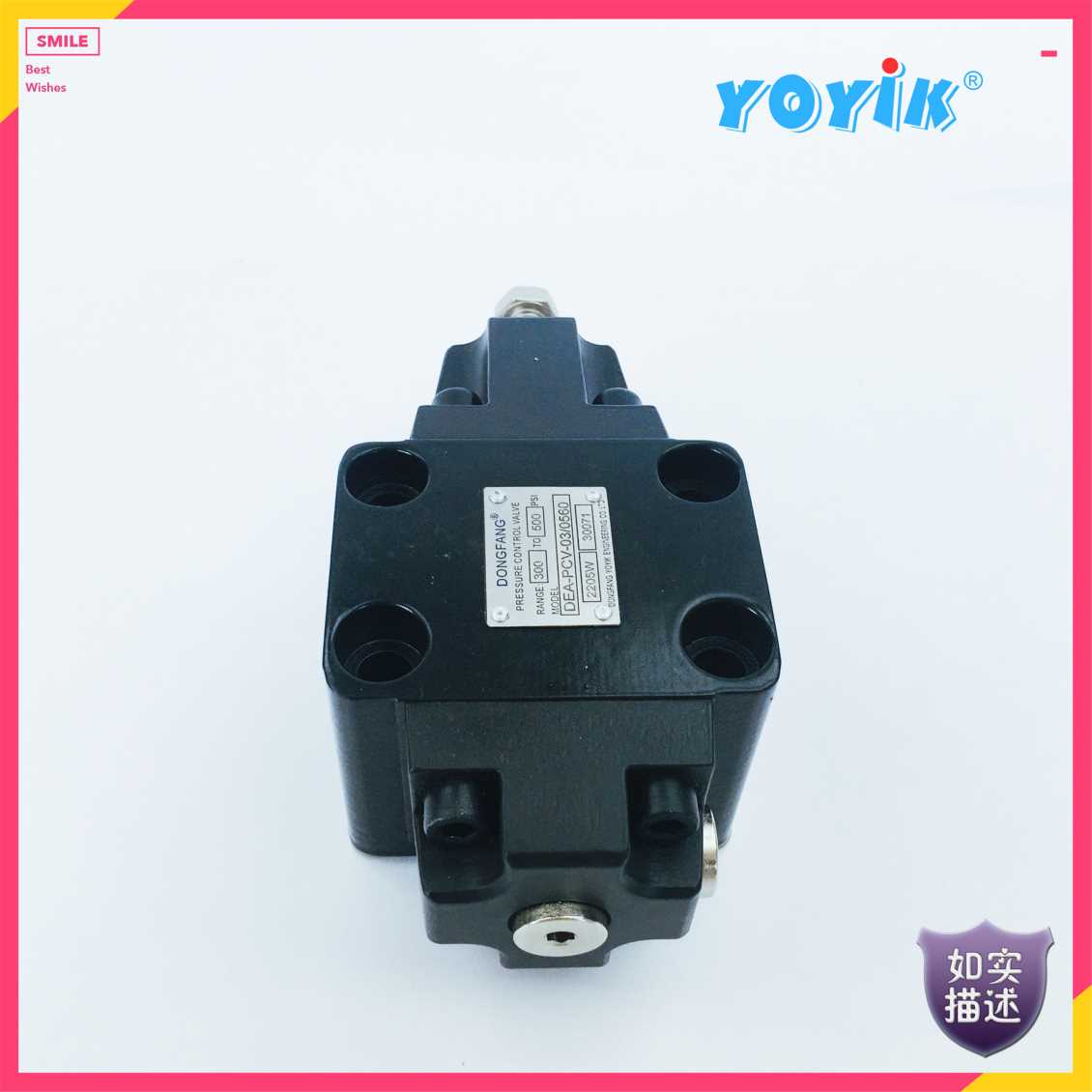 DFA-PCV-03/0560关断阀 用于切断生产过程插图2