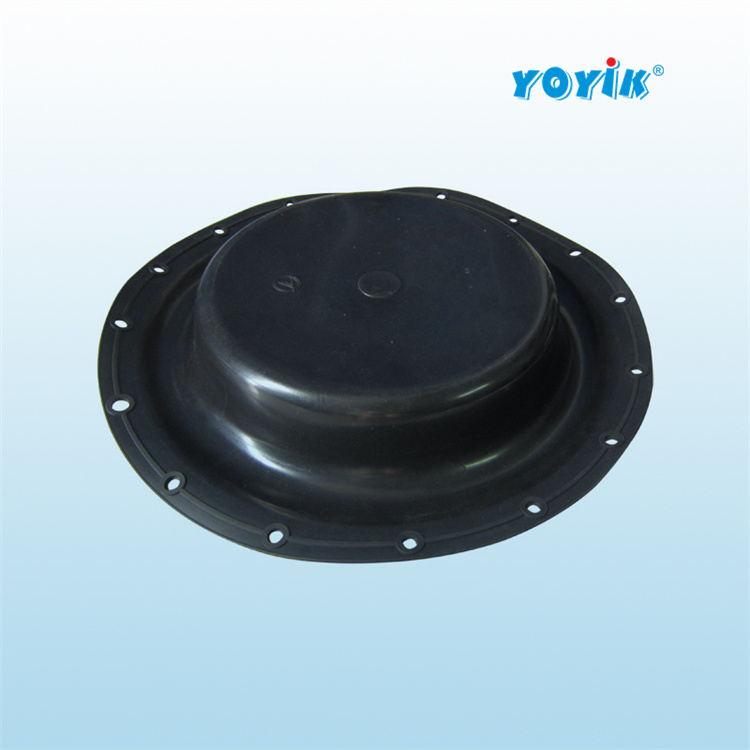 隔膜阀KS0125ZMAW16BQ13UNOERH 6个月应更换一次插图4