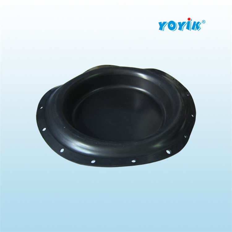 隔膜阀KS0125ZMAW16BQ13UNOERH 6个月应更换一次插图