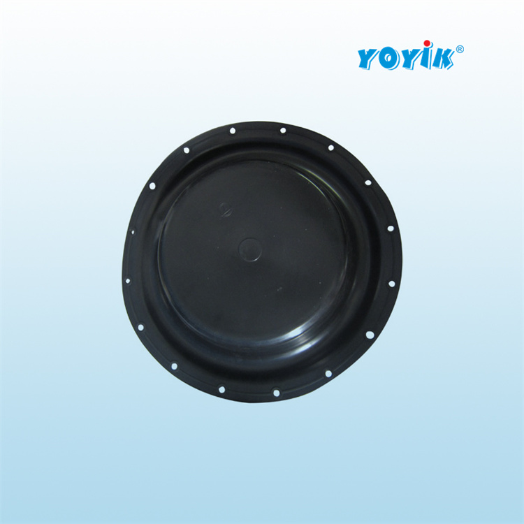 隔膜阀KS0125ZMAW16BQ13UNOERH 6个月应更换一次插图1