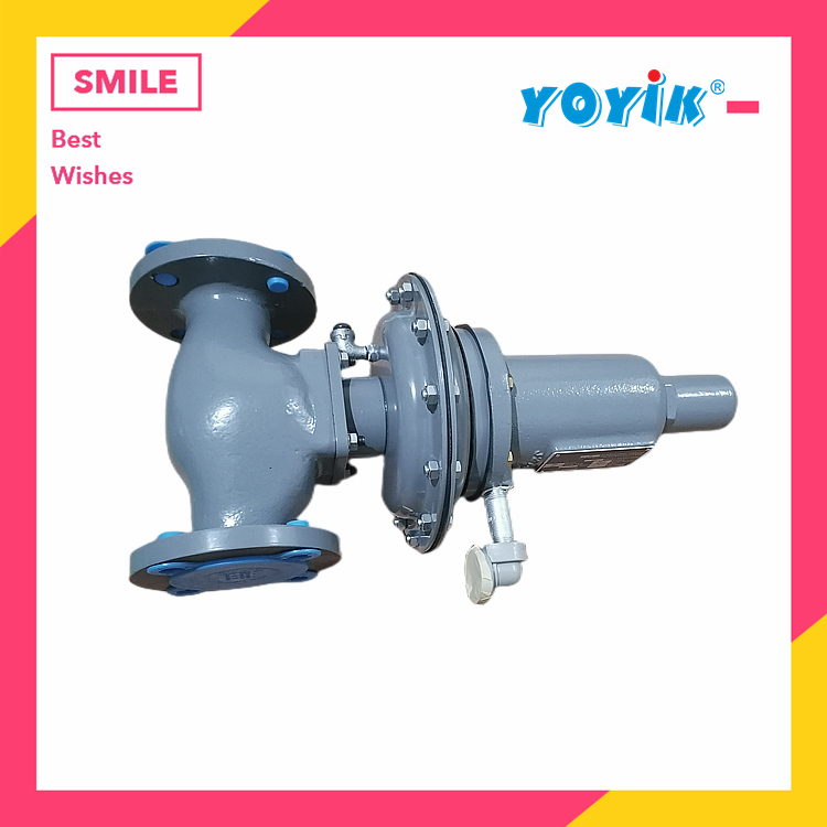 差压阀977HP 2“ fisher 适用机组150MW双水内冷汽轮发电机插图2 差压阀977HP 2“ fisher 适用机组150MW双水内冷汽轮发电机插图2