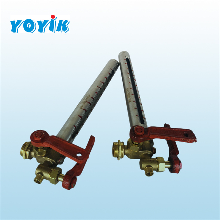 不锈钢油位计DYW-250 用于空预器导向轴承插图