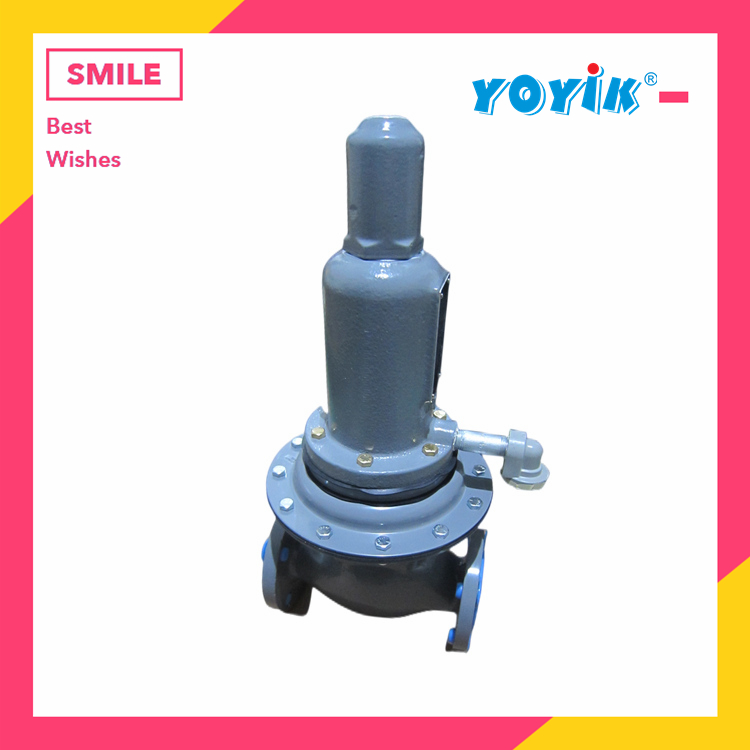 压差阀K050P.97 机组小修时可进行密封件的更换插图1