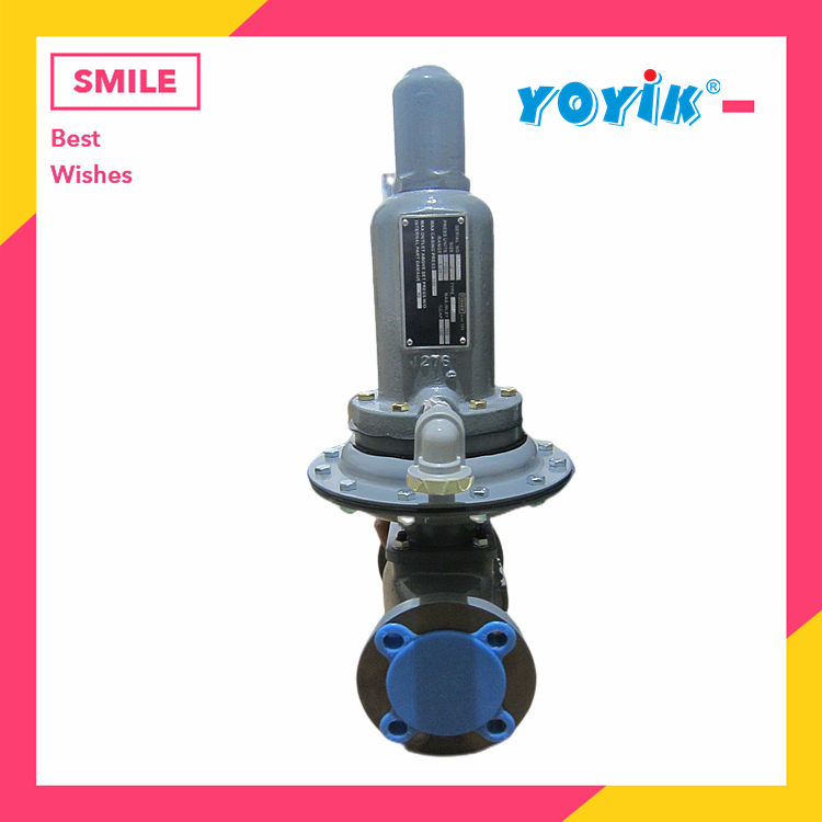 压差阀K050P.97 机组小修时可进行密封件的更换插图3