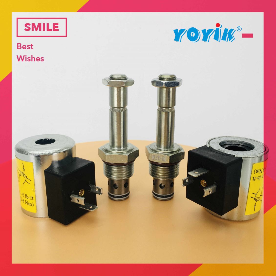 电磁阀SV4-10V-0-0-220AG 具有设计灵活、易安装、外形尺寸较小的特点插图