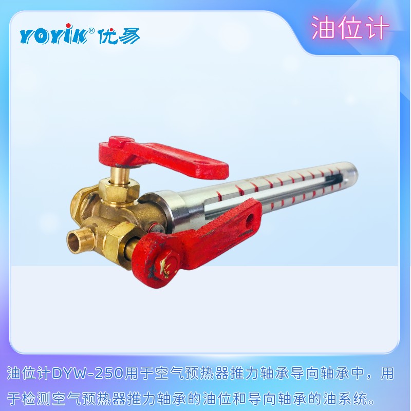油位计DYW-250 液位计 产品说明插图2 油位计DYW-250 液位计 产品说明插图2