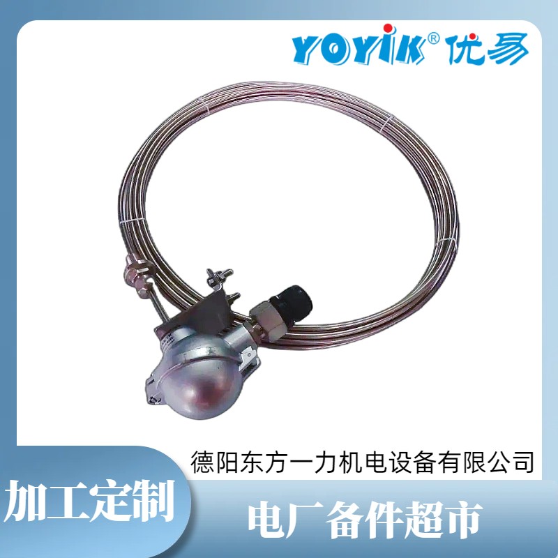 双支铠装热电偶WRE2-631T 工作原理插图