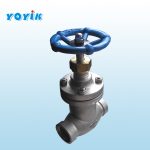 波纹管截止阀25FJ-1.6P